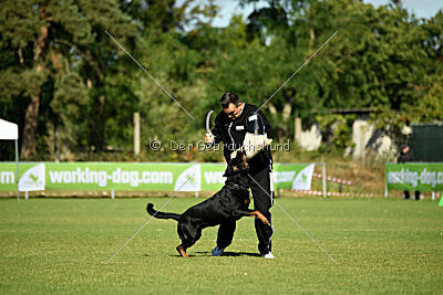 Dwaynetherock von den Barbaren