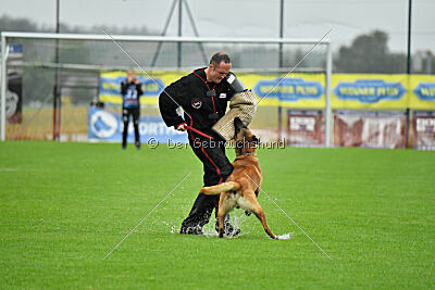 Dylan vom puren Leben