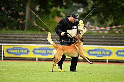 Dylan vom puren Leben