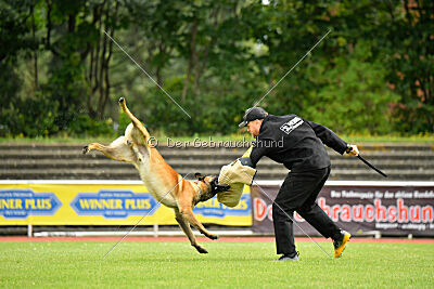 Dylan vom puren Leben