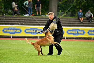 Dylan vom puren Leben