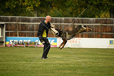 Dyson del Camino Duro
