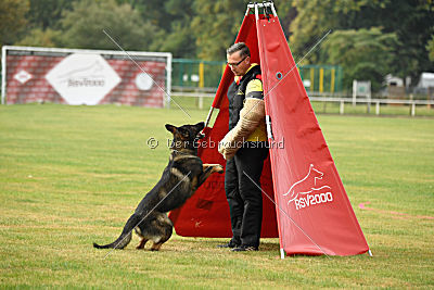 Dyson del Camino Duro