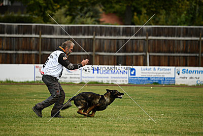 Dyson del Camino Duro