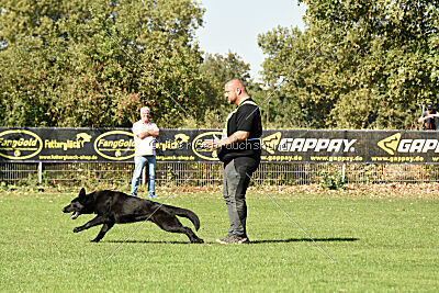 Ebby vom schwarzen Omen