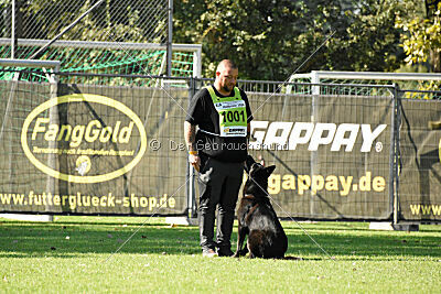 Ebby vom schwarzen Omen