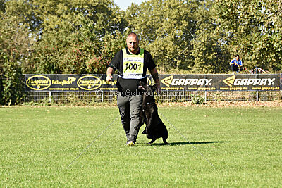 Ebby vom schwarzen Omen
