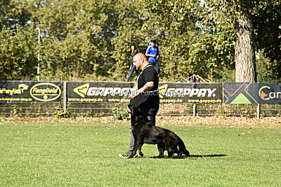 Ebby vom schwarzen Omen