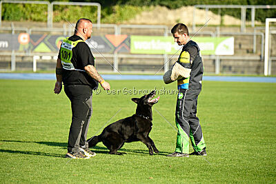 Ebby vom schwarzen Omen