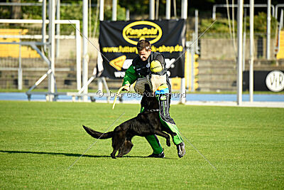 Ebby vom schwarzen Omen