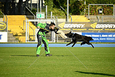 Ebby vom schwarzen Omen