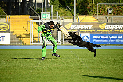 Ebby vom schwarzen Omen