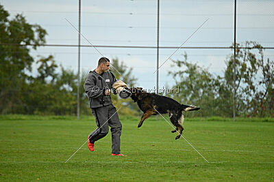 Ebony von der Nibelungenburg