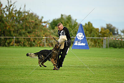 Ebony von der Nibelungenburg
