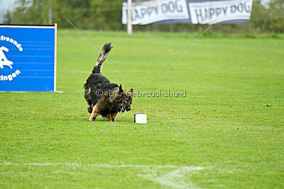 Ebony von der Nibelungenburg