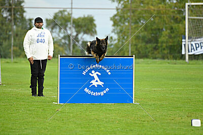 Ebony von der Nibelungenburg