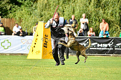 Ecco des Dragons du Courtival