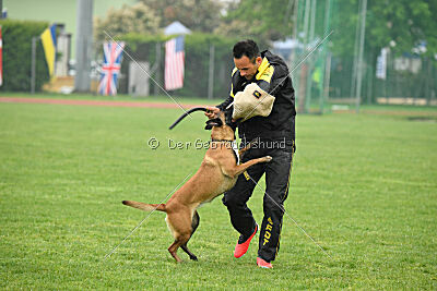 Edamentus Bekelda Injami