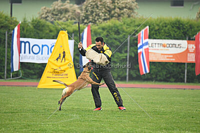 Edamentus Bekelda Injami