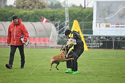 Edamentus Bekelda Injami