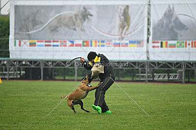 Edamentus Bekelda Injami