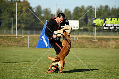 Eddie vom Maliattack