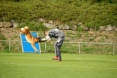 Eddie von Maliattack