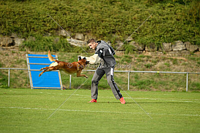 Eddie von Maliattack