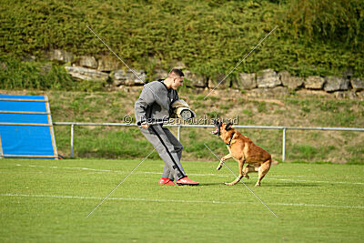 Eddie von Maliattack