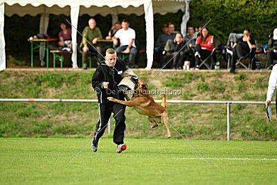 Eddie von Maliattack