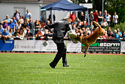 Eddie von Maliattack