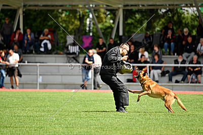 Eddie von Maliattack