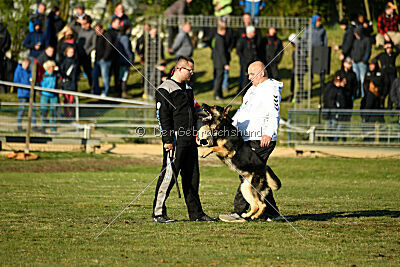 Eddy vom Team Nordsturm