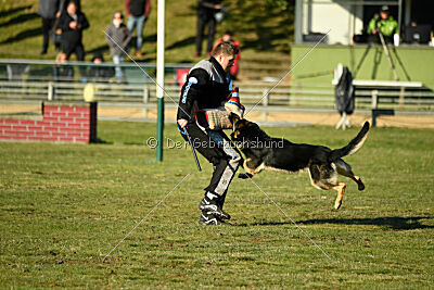 Eddy vom Team Nordsturm