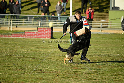 Eddy vom Team Nordsturm