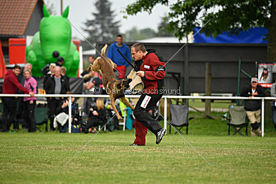 Eddy von der Katzenhecke