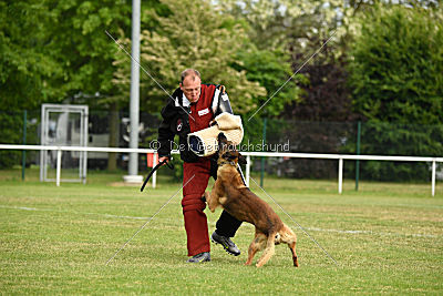 Eddy von der Katzenhecke