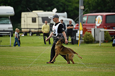 Eddy von der Katzenhecke