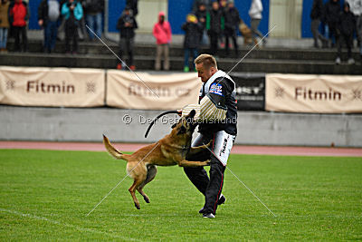 Effect iz Komandy Azart