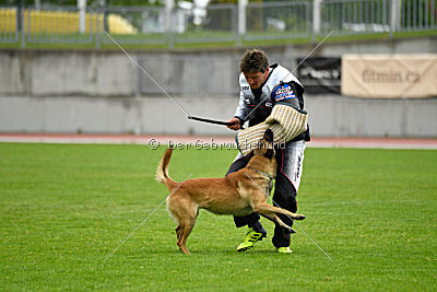 Effect iz Komandy Azart