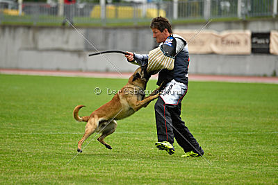 Effect iz Komandy Azart