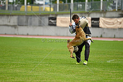 Effect iz Komandy Azart