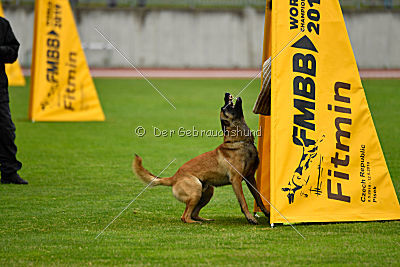 Effect iz Komandy Azart