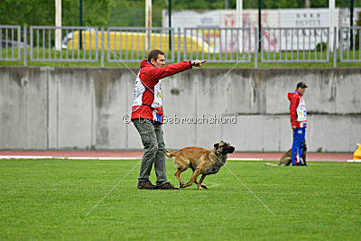 Effect iz Komandy Azart