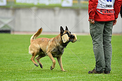 Effect iz Komandy Azart