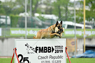 Effect iz Komandy Azart