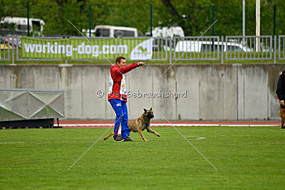 Effect iz Komandy Azart