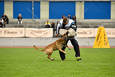 Effect iz Komandy Azart