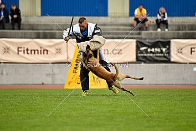 Effect iz Komandy Azart