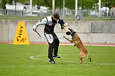 Effect iz Komandy Azart